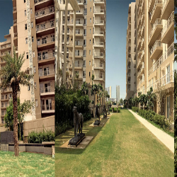 puri-construction-3bhk-apartment 2 - 250x250